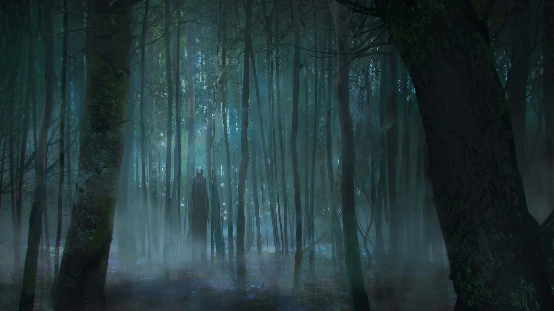 Dark Forest Background