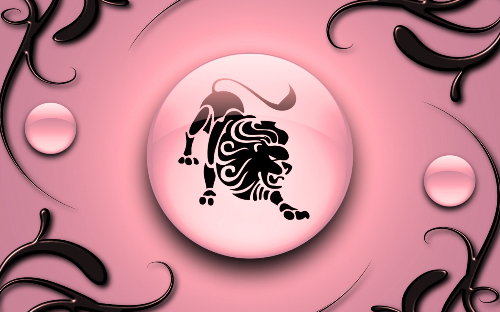 Leo on a pink background with black ornament Desktop wallpaper 1680x1050