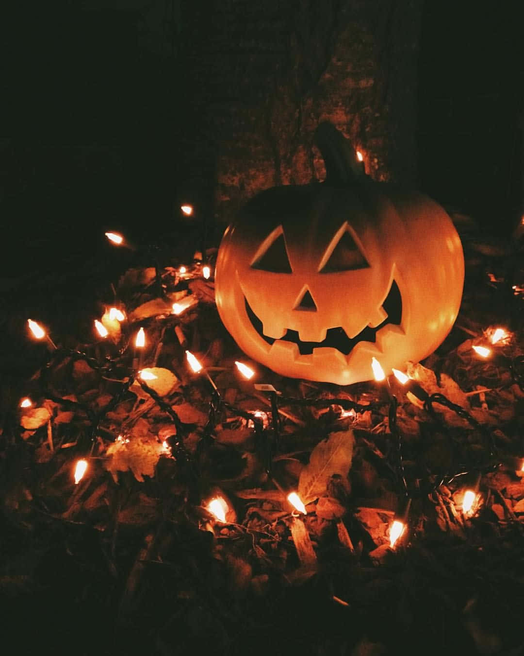 Download Halloween Fall Pumpkin Lights Picture