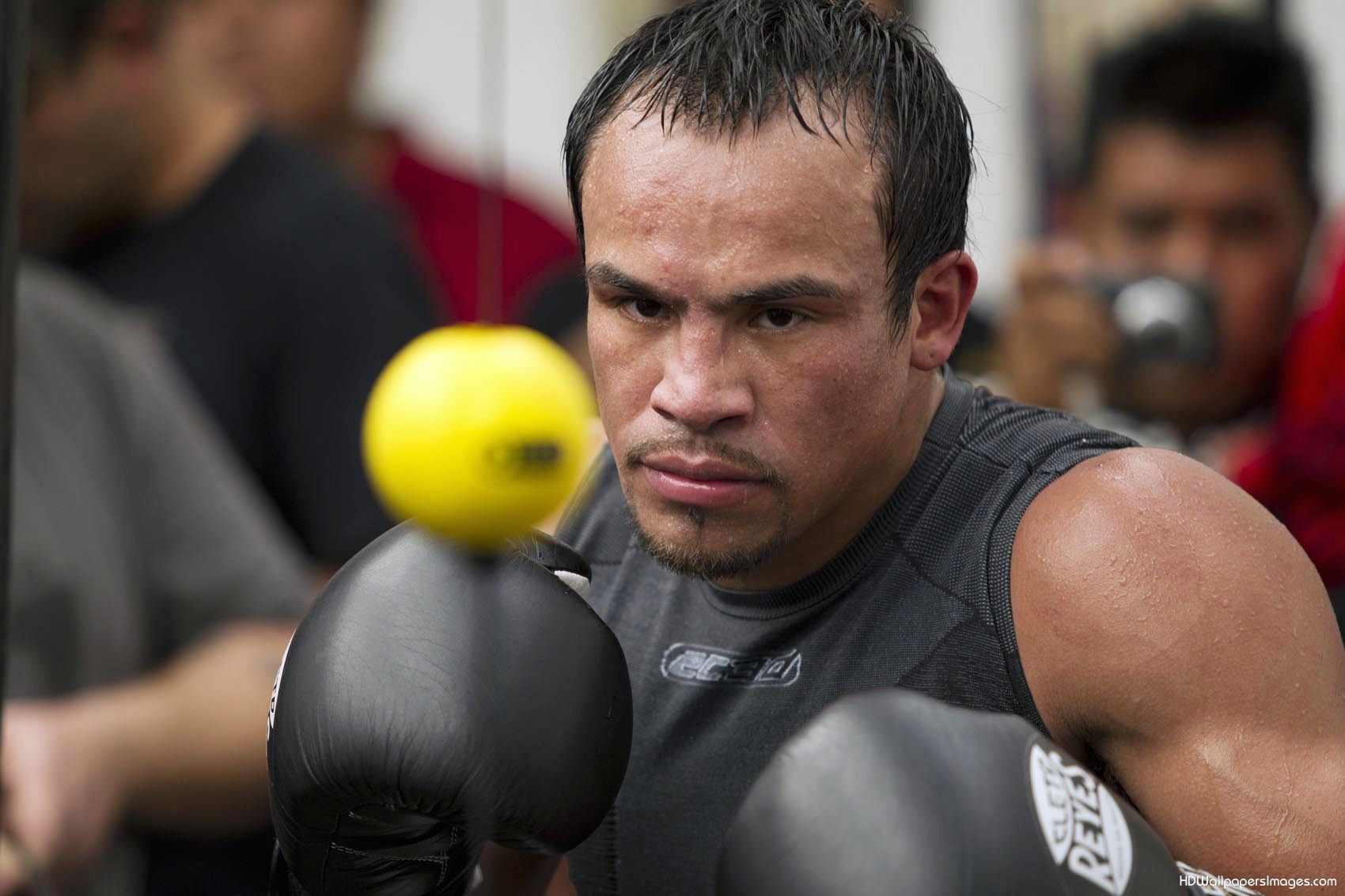 Juan Manuel Marquez training Desktop wallpaper 1152x864