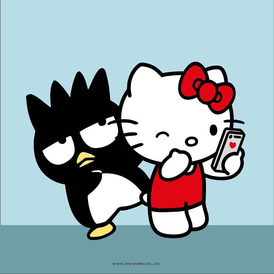 RESPECT THE KITTY. Hello kitty cartoon, Sanrio hello kitty, Hello kitty picture