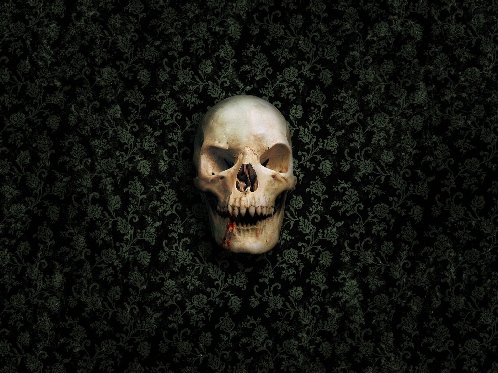 Skull Vampire 1600x1200 Resolution HD 4k Wallpaper, Image, Background, Photo and Picture