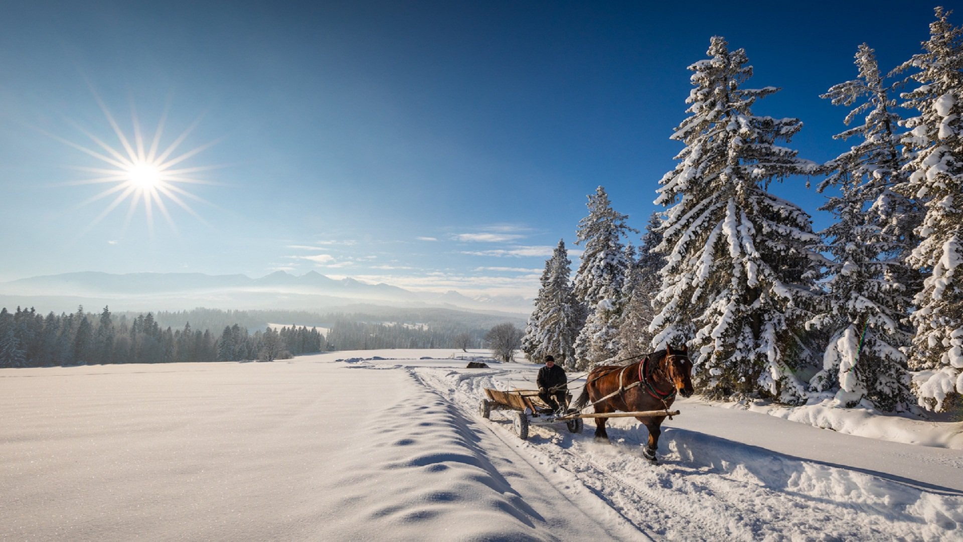 Winter in Poland[1920x1080]