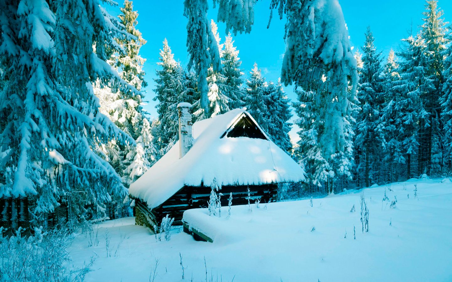 Download wallpaper 1440x900 poland, house, forest, snow, winter widescreen 16:10 HD background