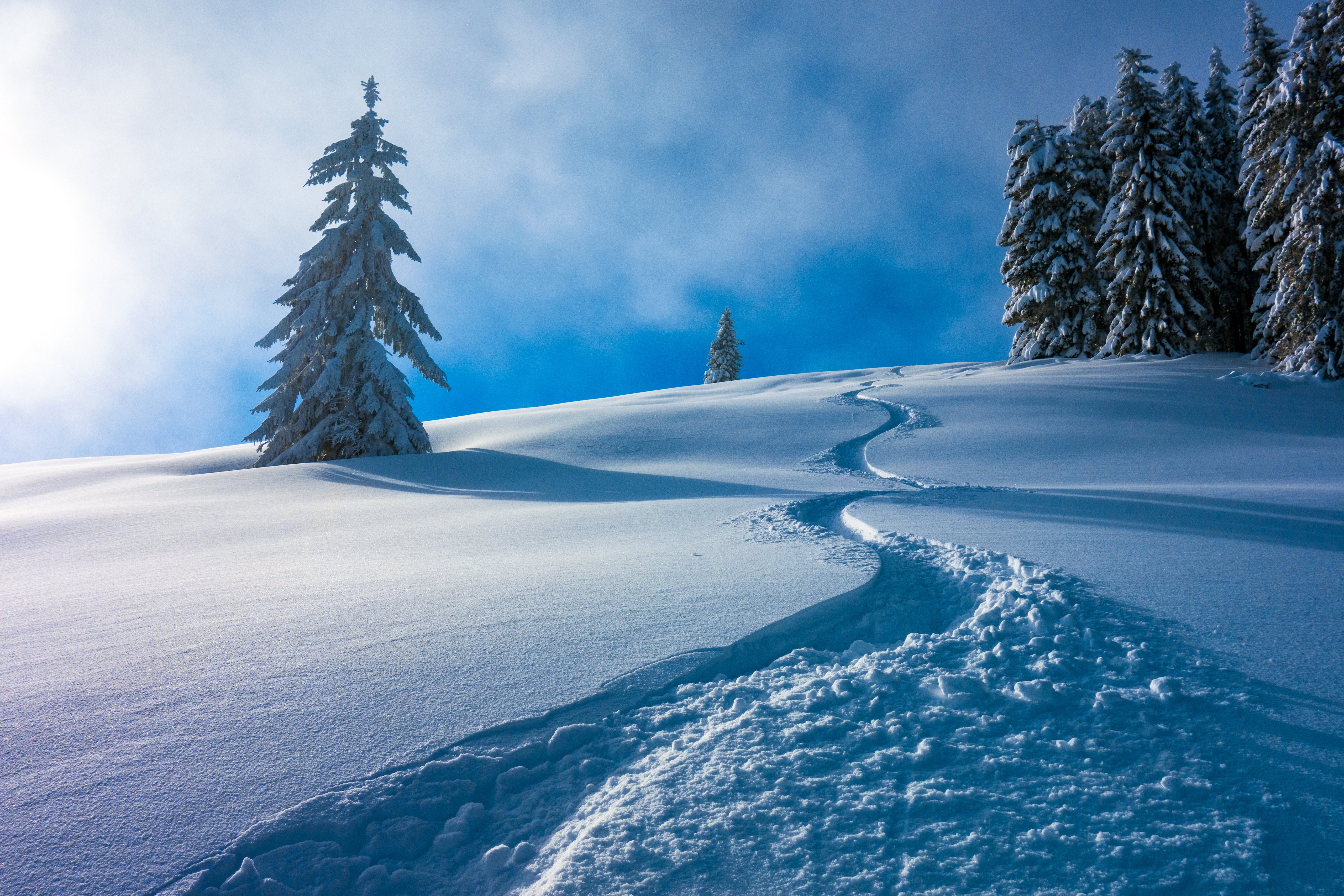 Download Austria Snow Nature Winter 4k