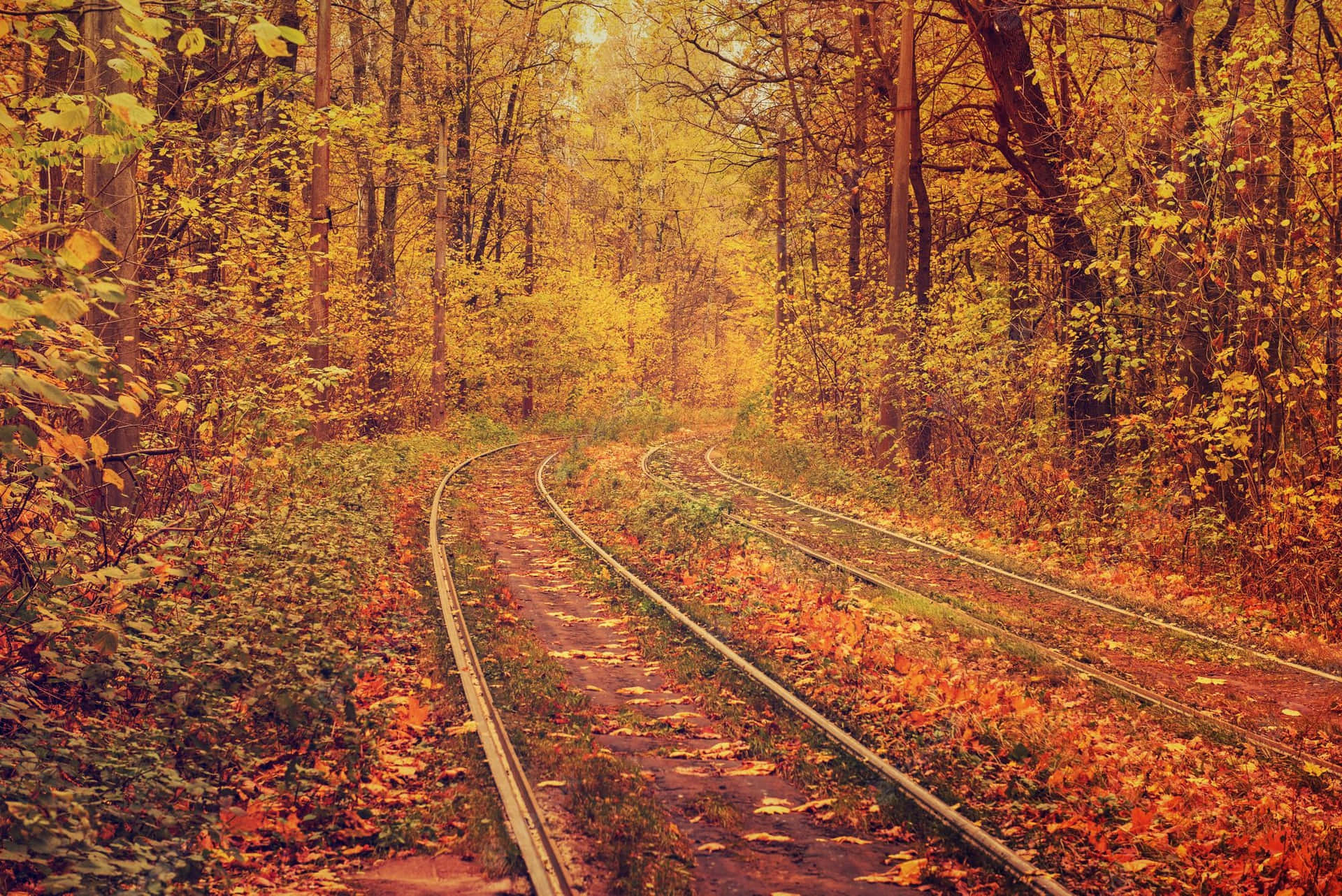 Vintage Fall Wallpaper