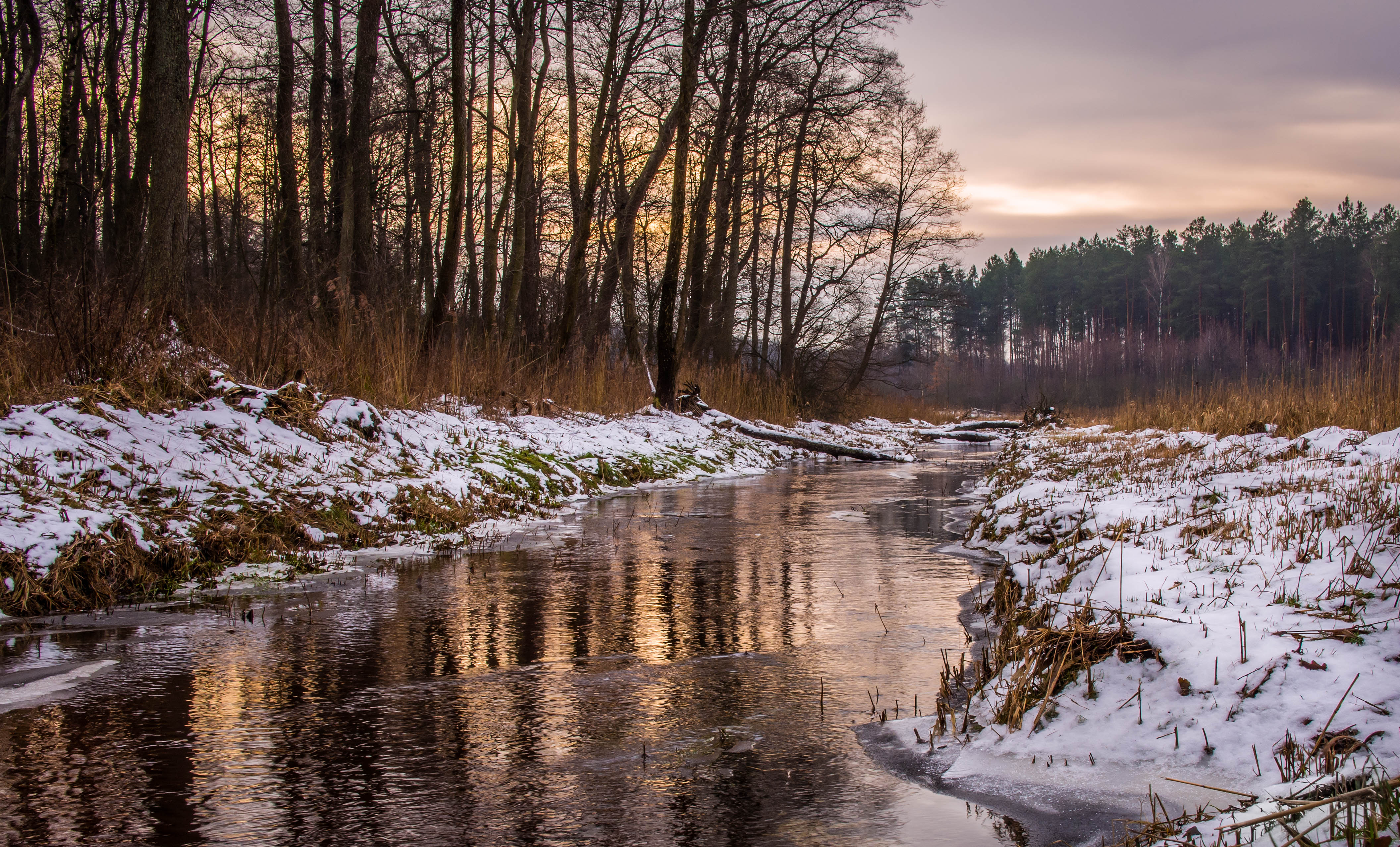 Wallpaper, winter, sunset, ice, forest, river, Poland, che m 4226x2558