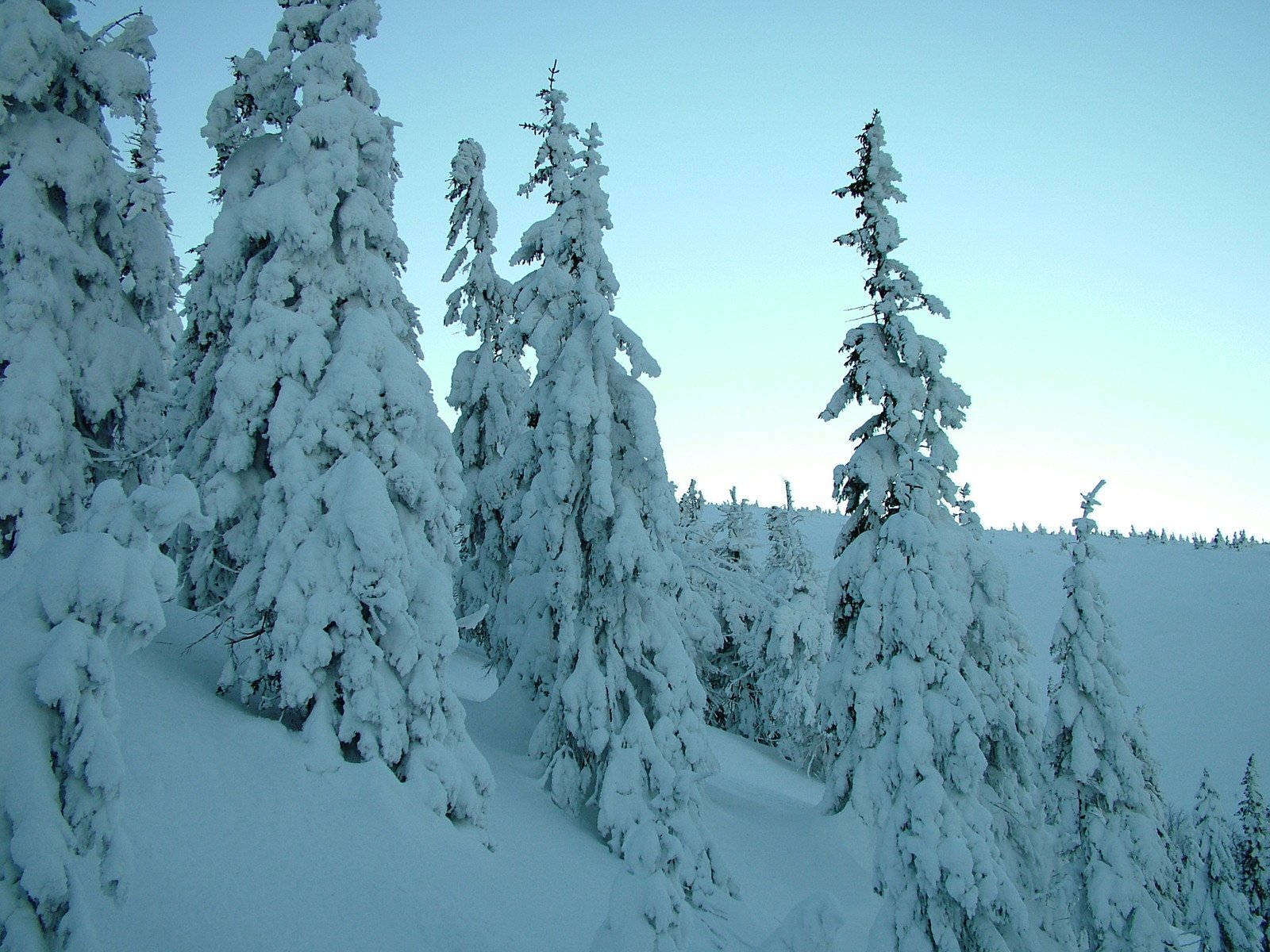Winter in Karkonosze Poland Free Photo Download