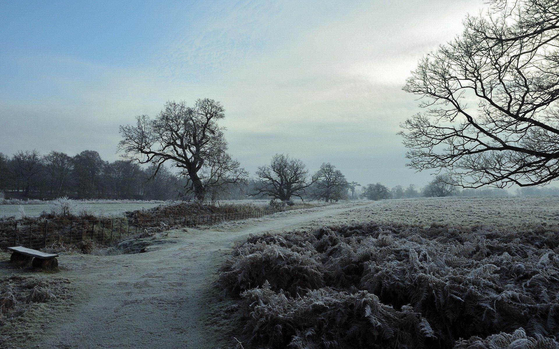 Poland Winter Wallpaper