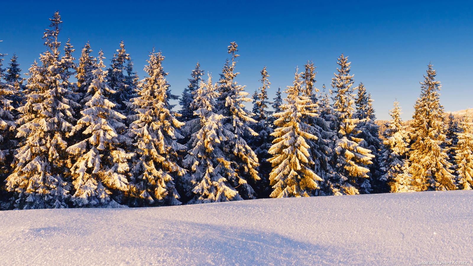 Winter desktop wallpaper HD and wide wallpaper