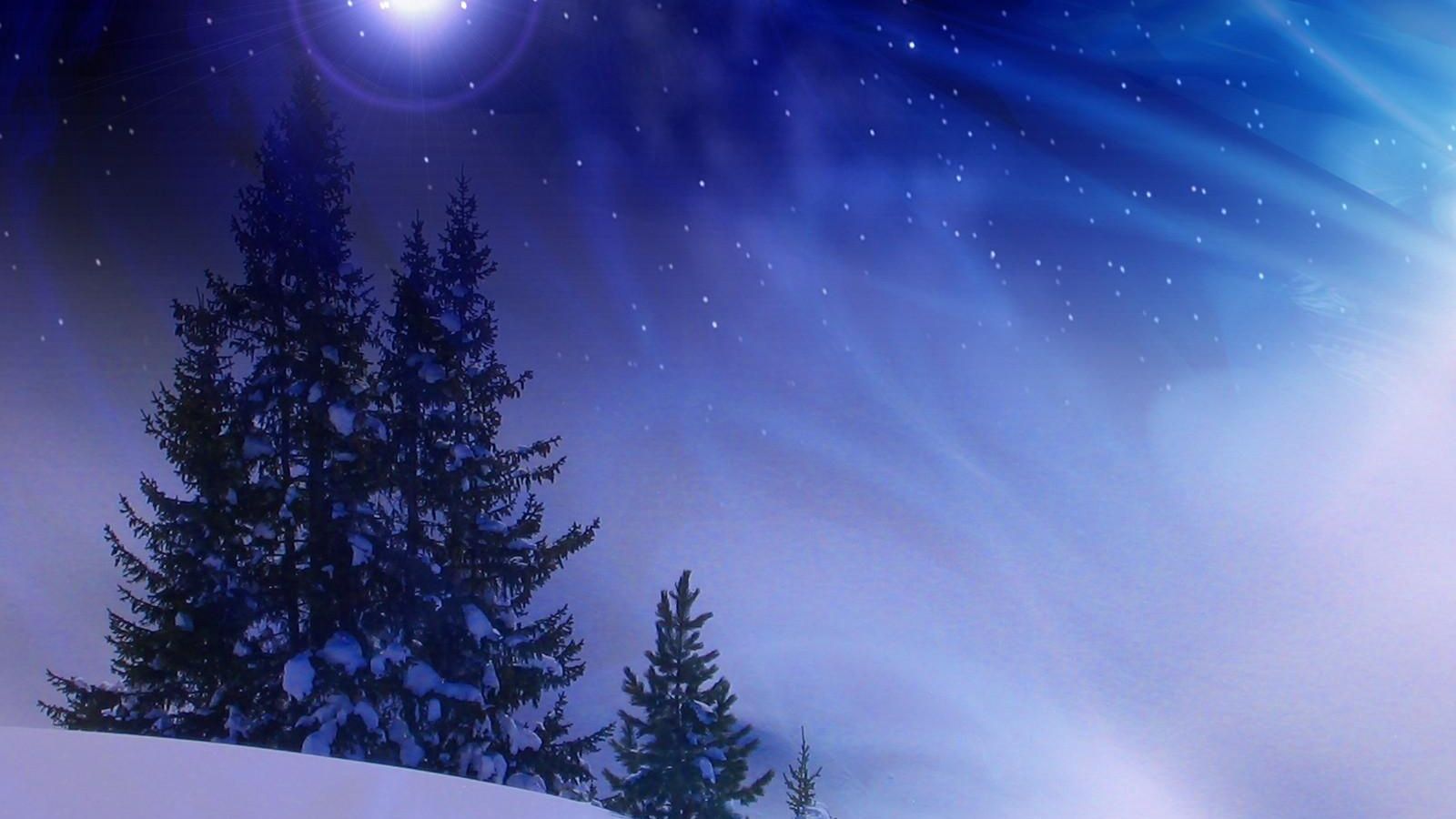 Download wallpaper 1600x900 christmas trees, snow, winter, midnight, blizzard widescreen 16:9 HD background