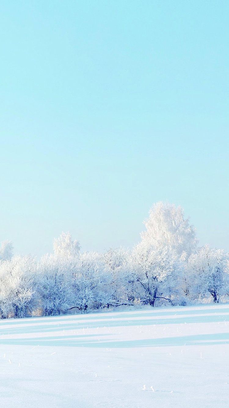 Static snow iPhone 6 Wallpaper. iPhone wallpaper winter, Snow wallpaper iphone, Winter wallpaper hd