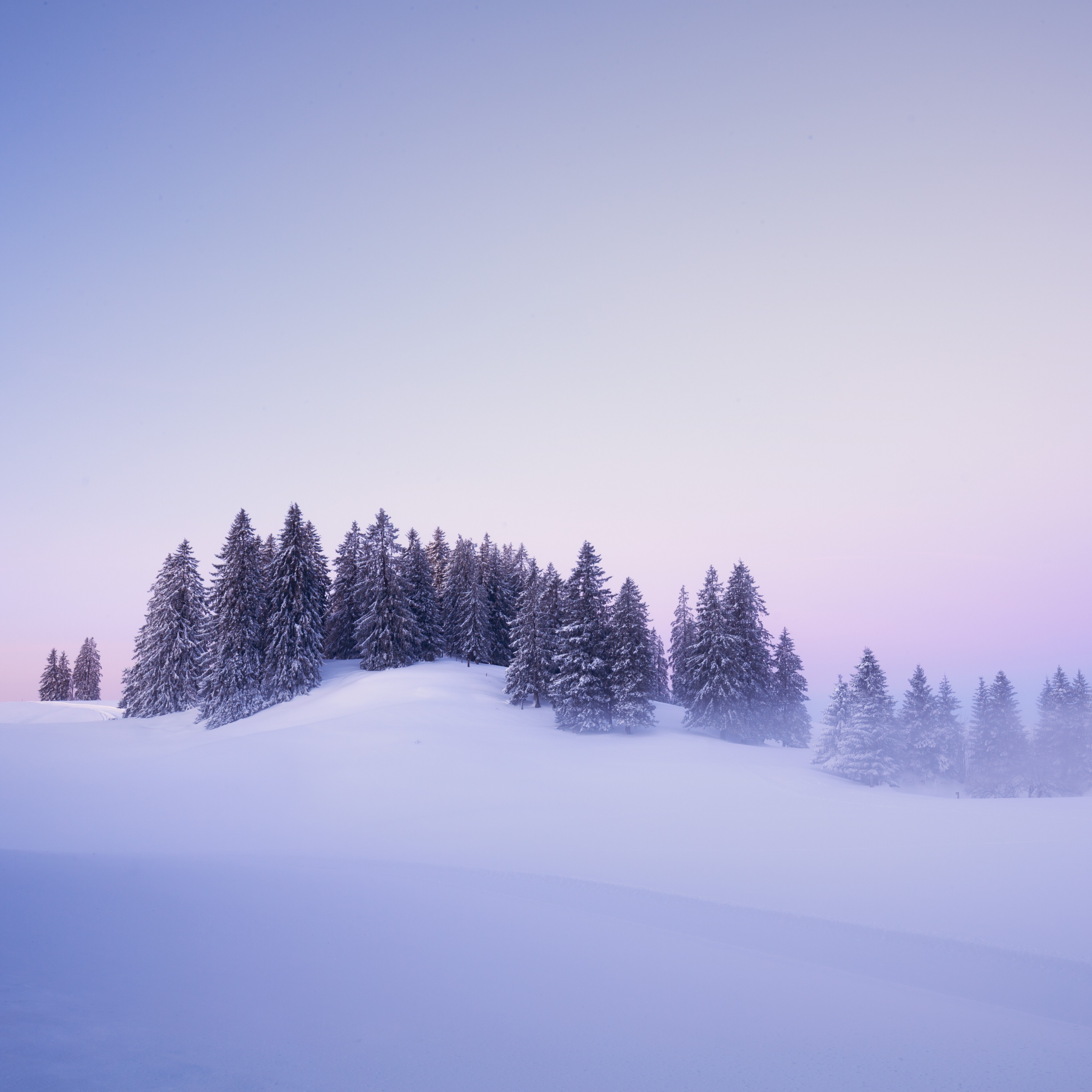 Winter Wallpaper 4K, Snow covered