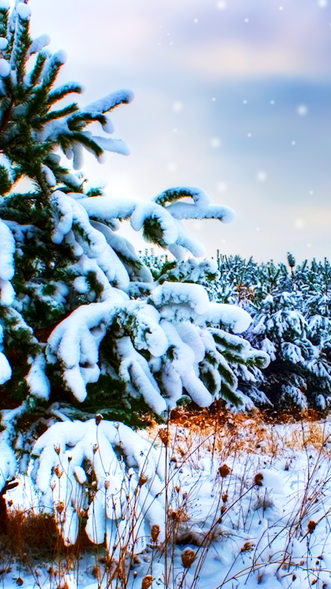 Snow High Resolution iPhone Wallpaper