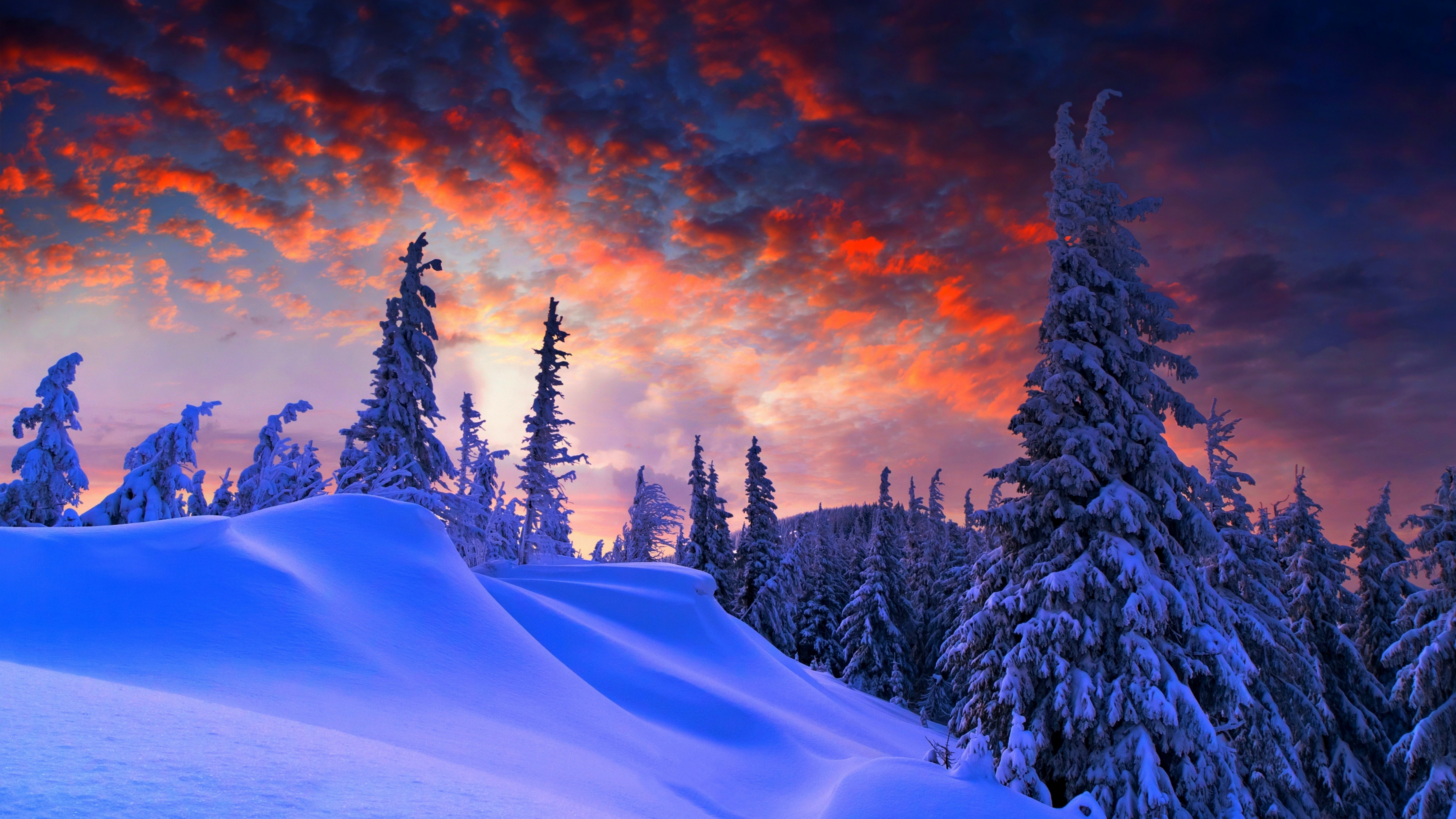 Download wallpaper 5120x2880 winter evening, beautiful sky, trees, clouds 5k wallpaper, 5120x2880 5k background, 1199