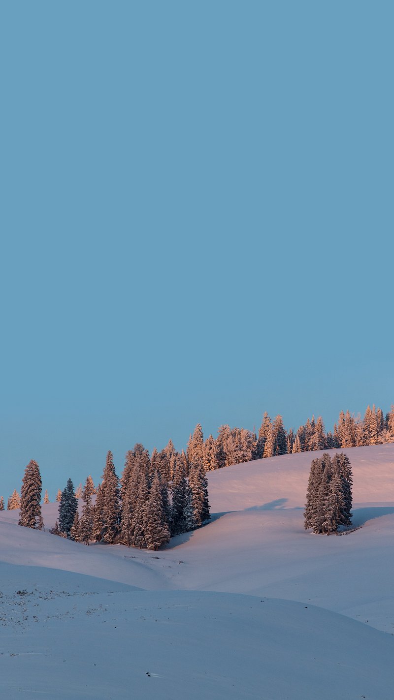 Winter iPhone Wallpaper Image Wallpaper