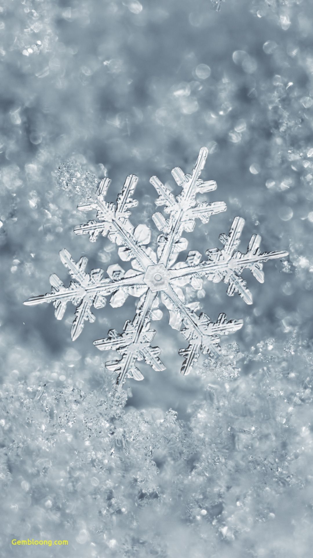 Free download Ice Snowflake iPhone 7 Plus Wallpaper Winter Wallpaper [1080x1920] for your Desktop, Mobile & Tablet. Explore iPhone 7 Plus Christmas Wallpaper. iPhone 7 Plus Wallpaper, iPhone 7