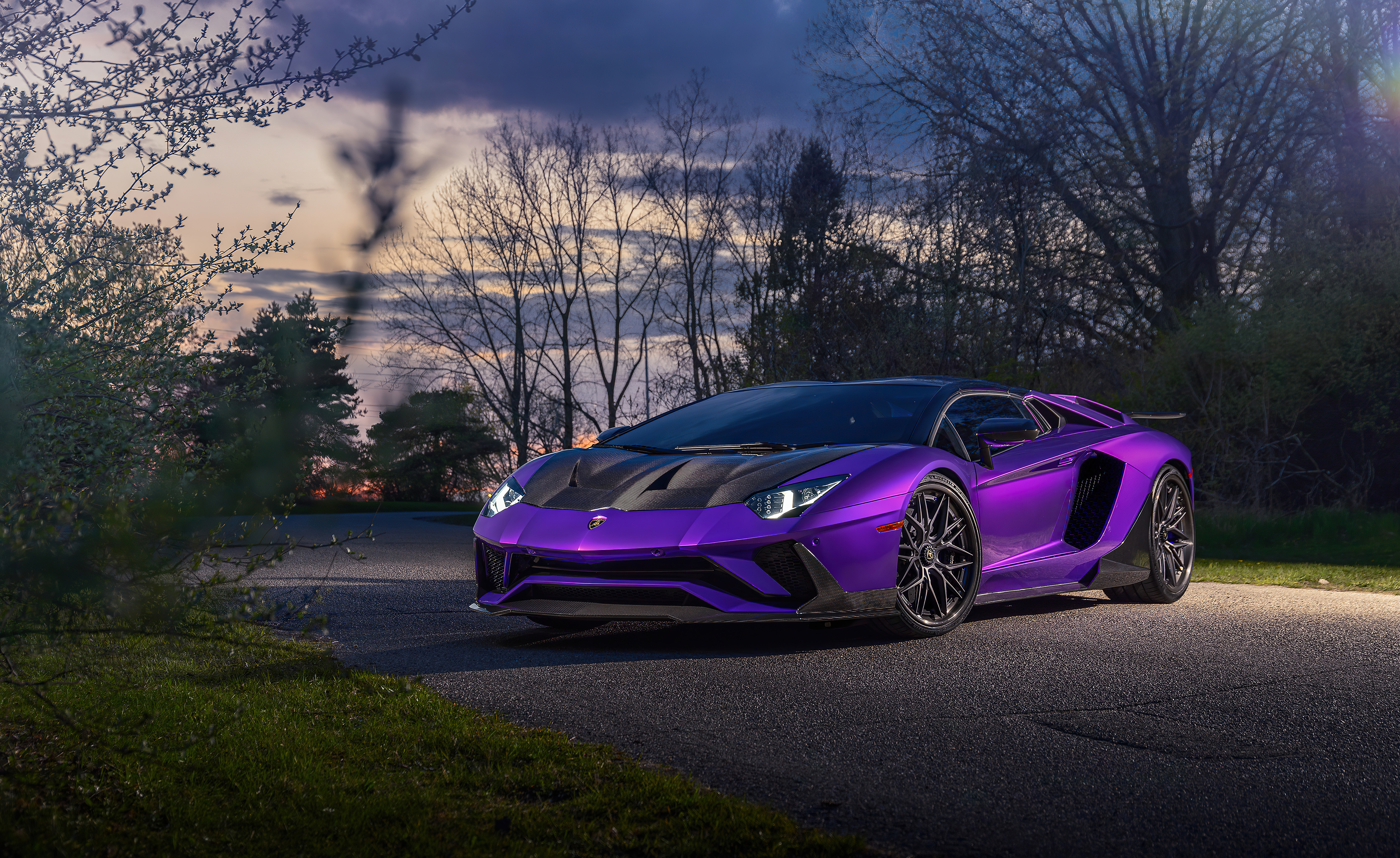 Purple Lamborghini Aventador 5k, HD Cars, 4k Wallpaper, Image, Background, Photo and Picture