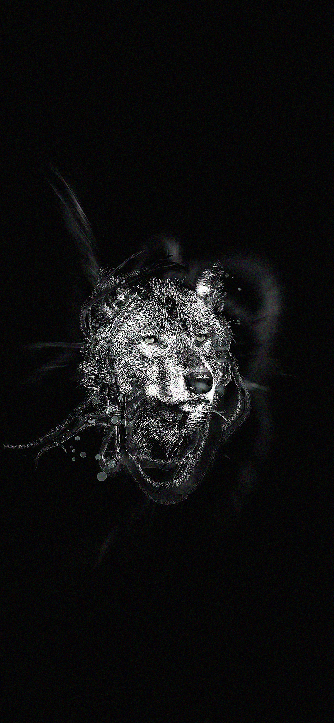 iPhoneXpapers by ekud dark illust art