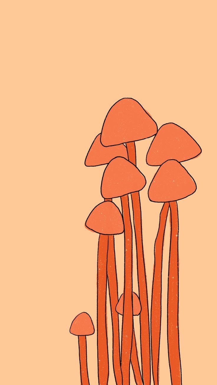 Orange wallpaper, Mushroom wallpaper