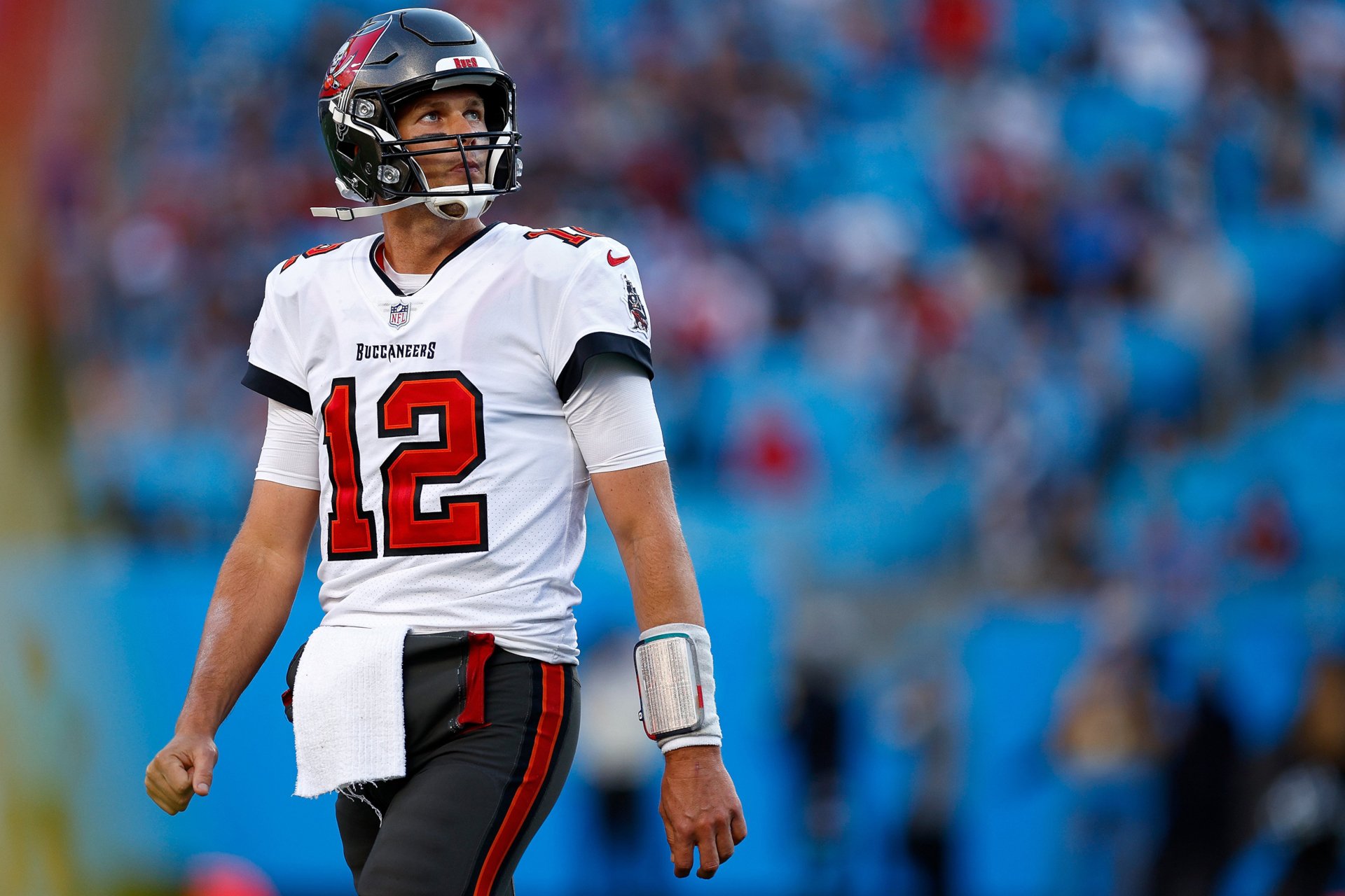 Sports Tom Brady HD Wallpaper