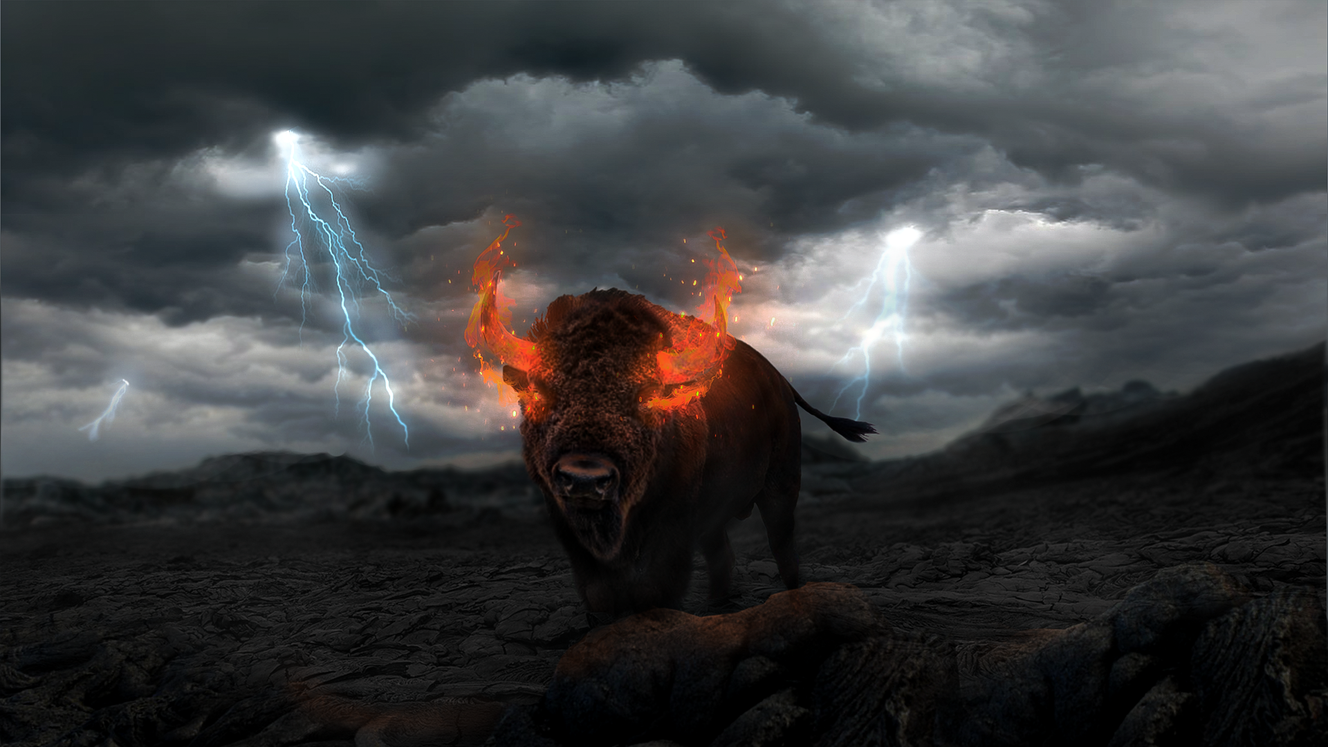 Hell Bull bison bull exhumed by fire roaming around a dark and deserted volcanic landscape. The bison starved and depraved of food fell into the lava and