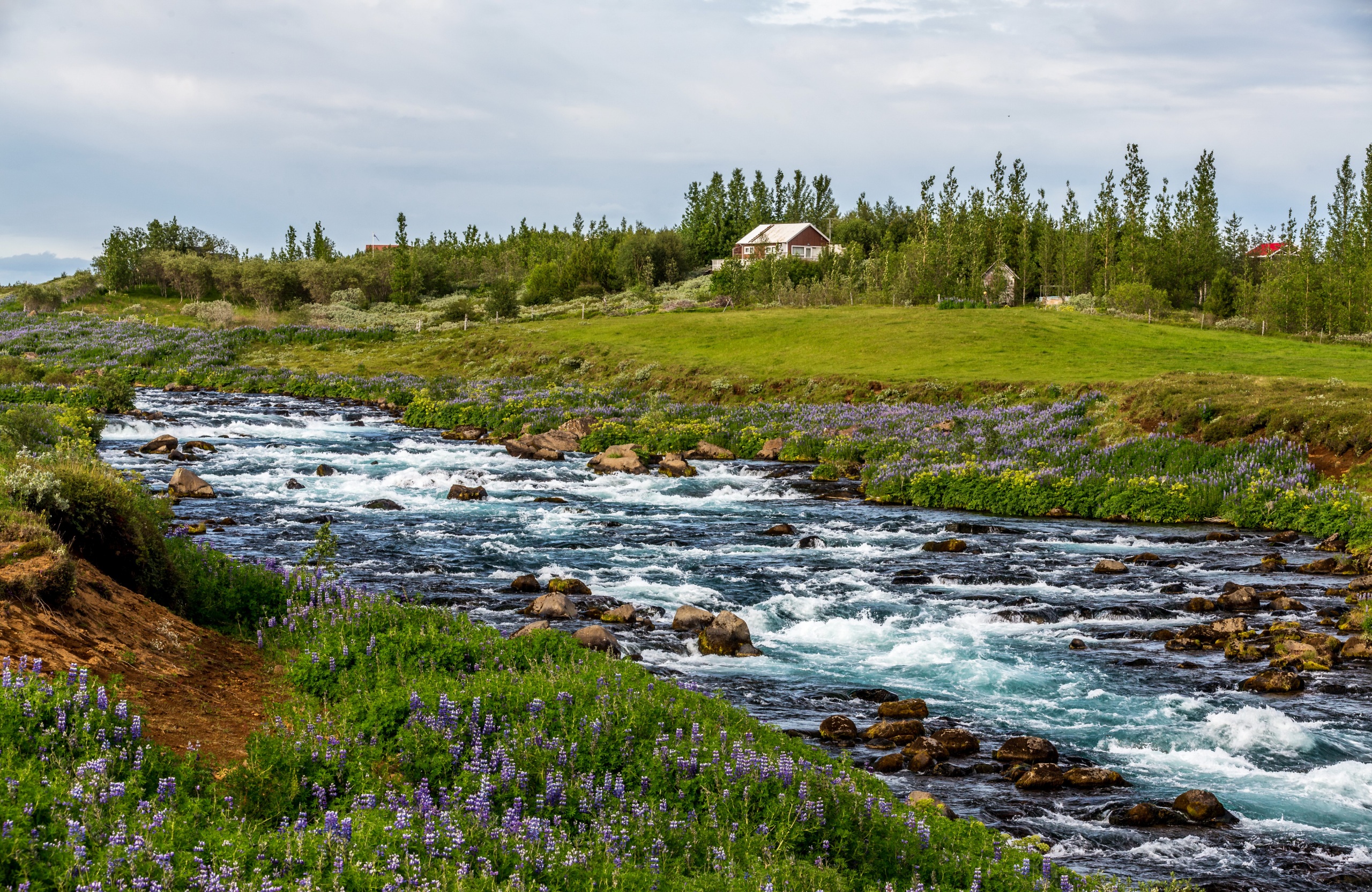 Desktop Wallpaper Iceland Creek Nature Grasslands stone 2560x1664