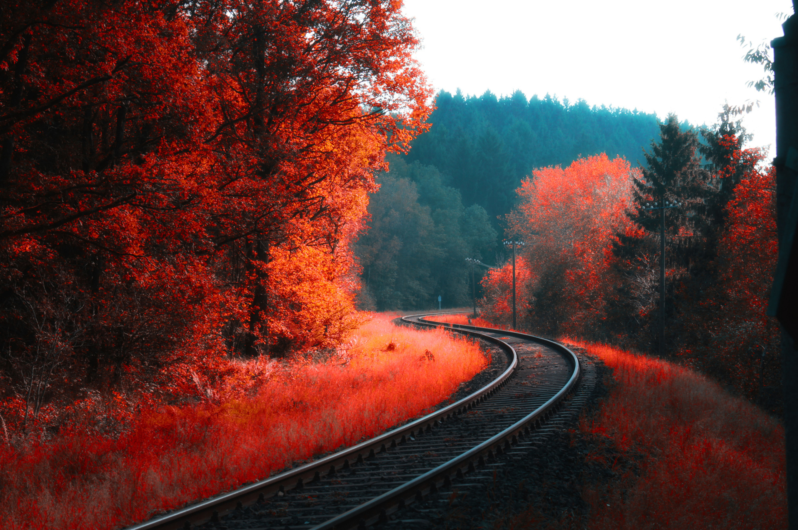 Railway Autumn Forest Chromebook Pixel HD 4k Wallpaper, Image, Background, Photo and Picture