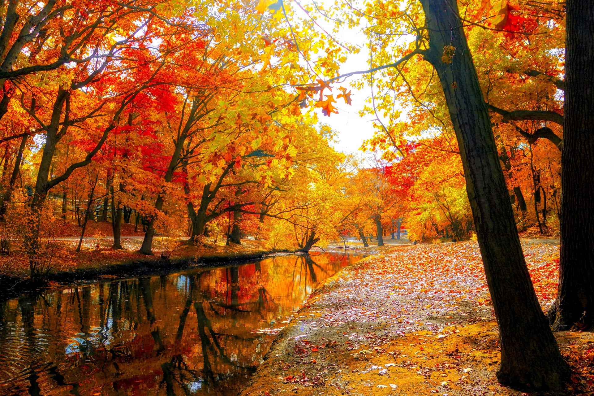 Download Bask in the Glory of Autumn Serene Fall Landscape