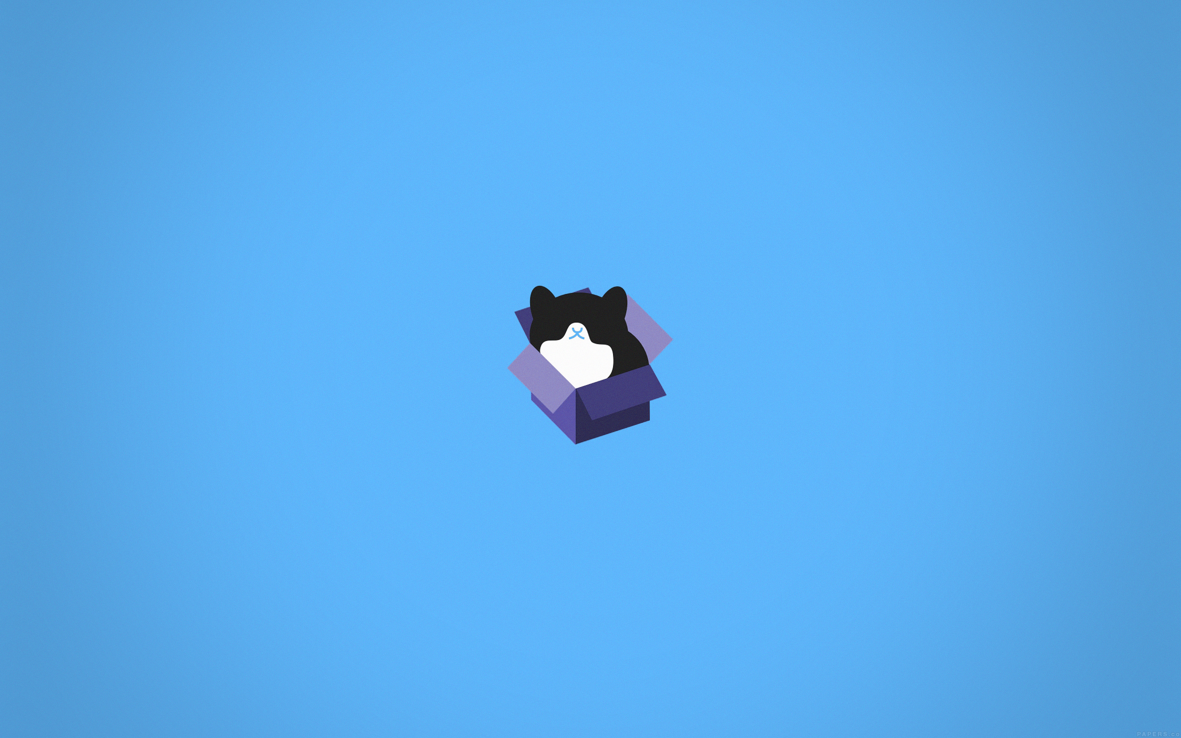 Cat Box Blue Illust Animal Art Minimal
