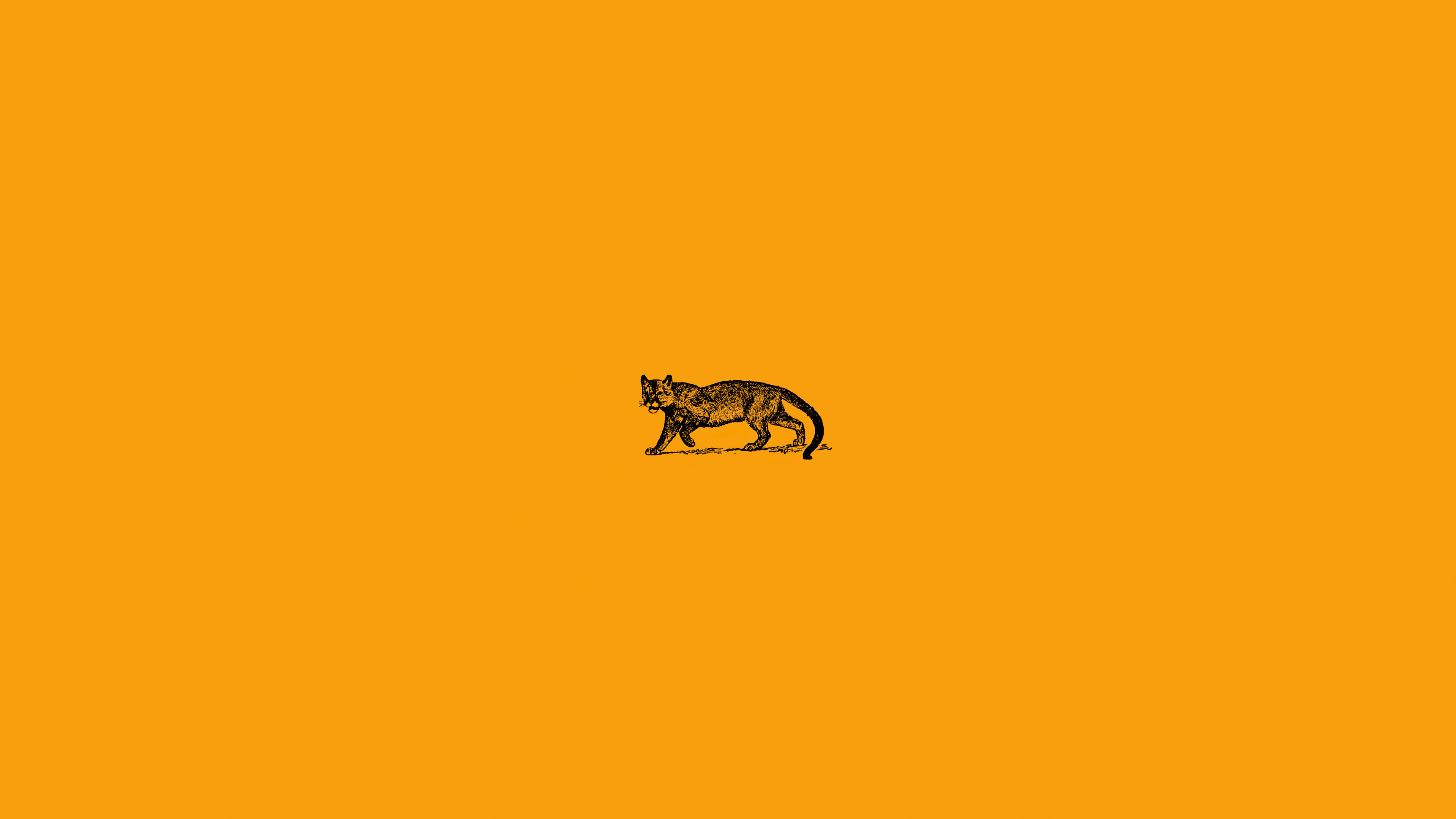 Wild Cat Minimal 4k Wallpaper, HD Artist