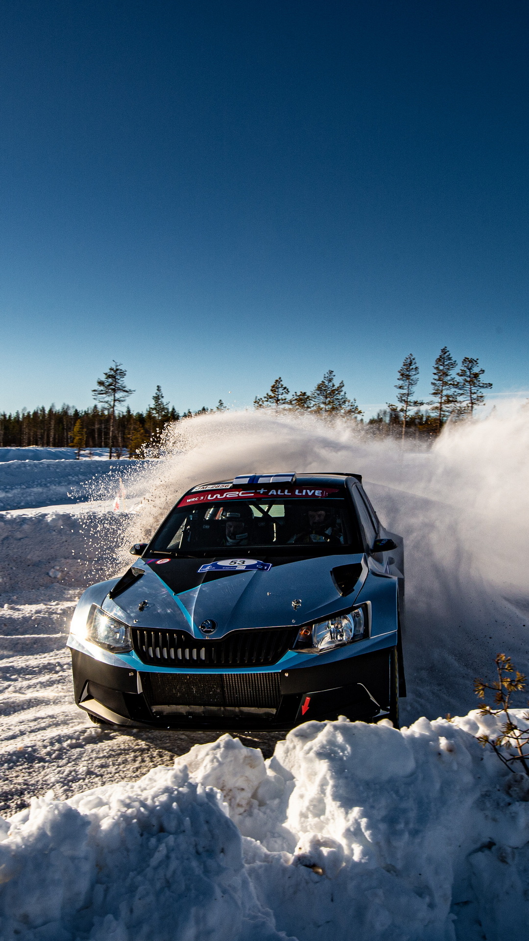 Download Arctic Rally Finland
