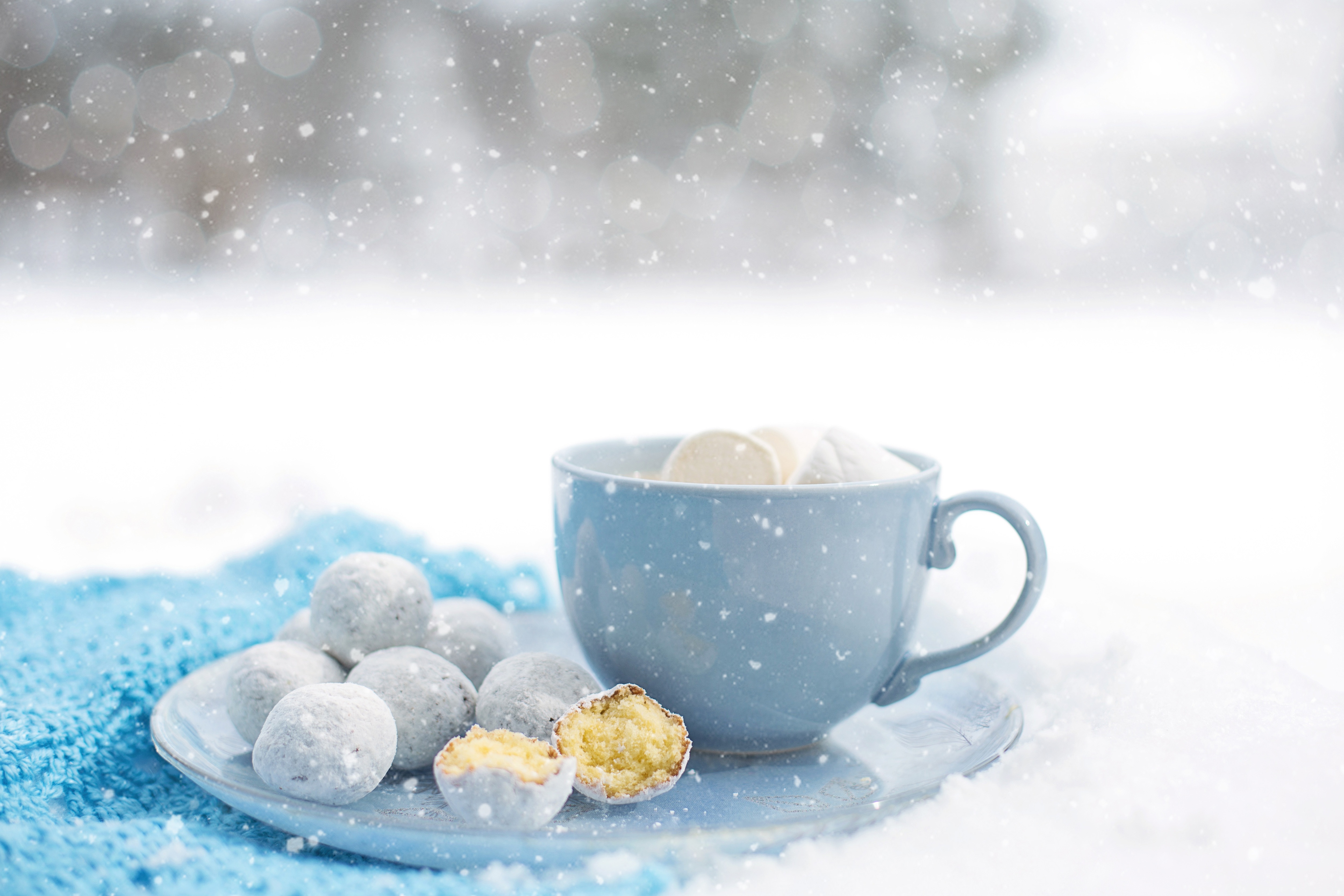 Winter Hot Chocolate Royalty Free