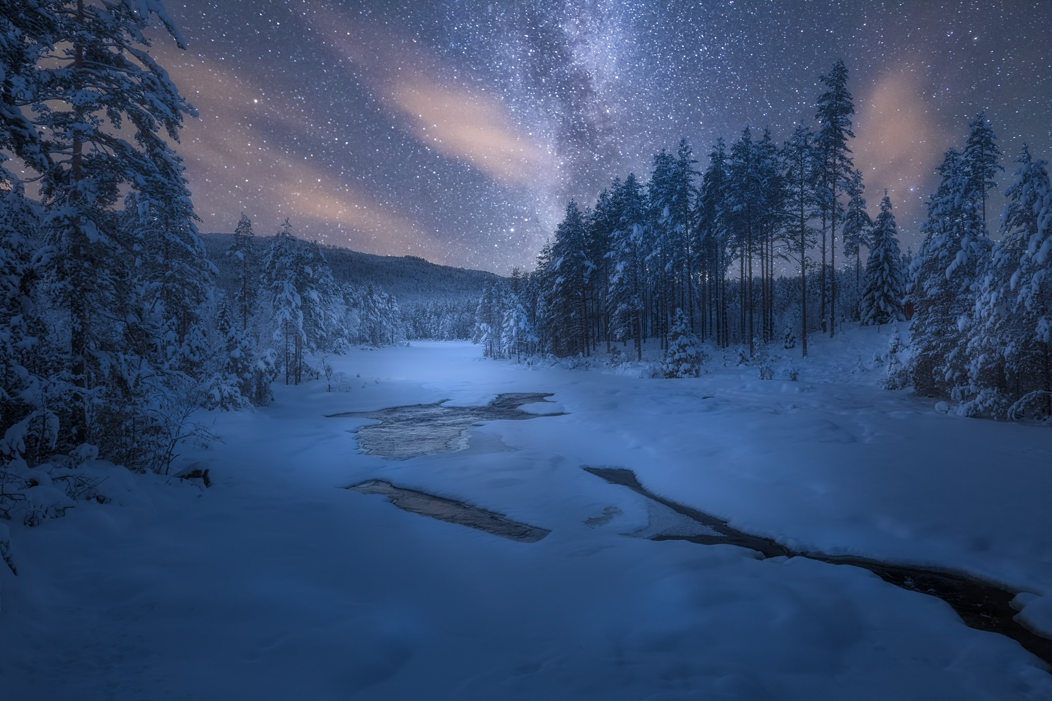 Starry Night in Winter Forest by Ole Henrik Skjelstad