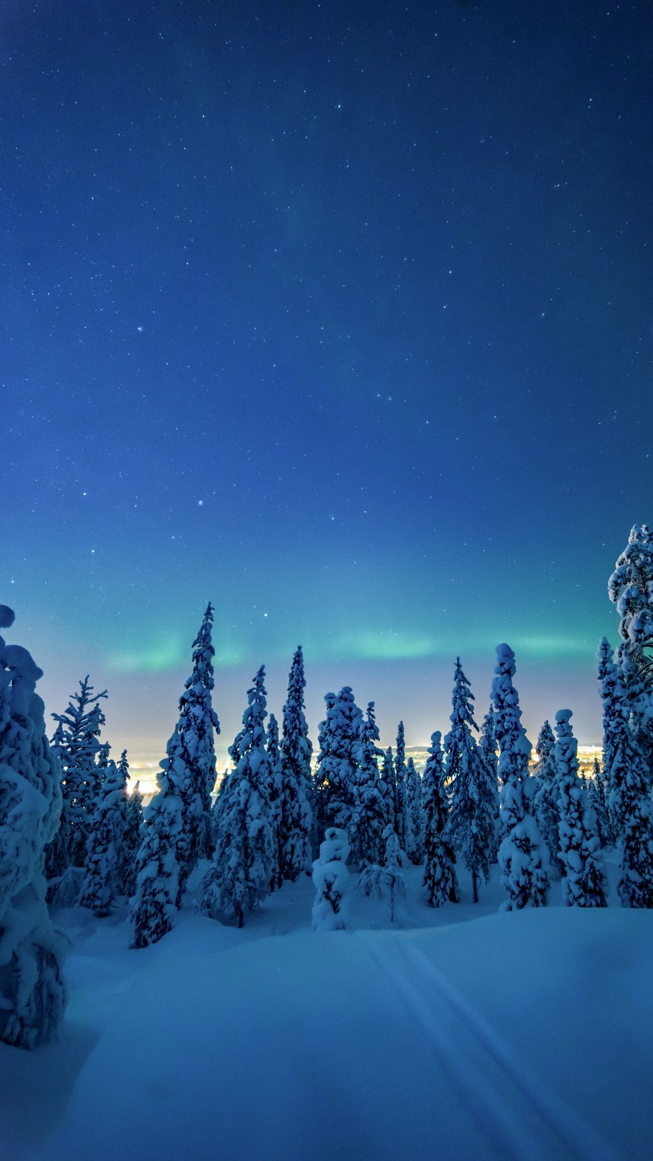 Download Wallpaper 938x1668 Trees, Snow, Winter, Night, Landscape Iphone 8 7 6s 6 For Parallax HD Background