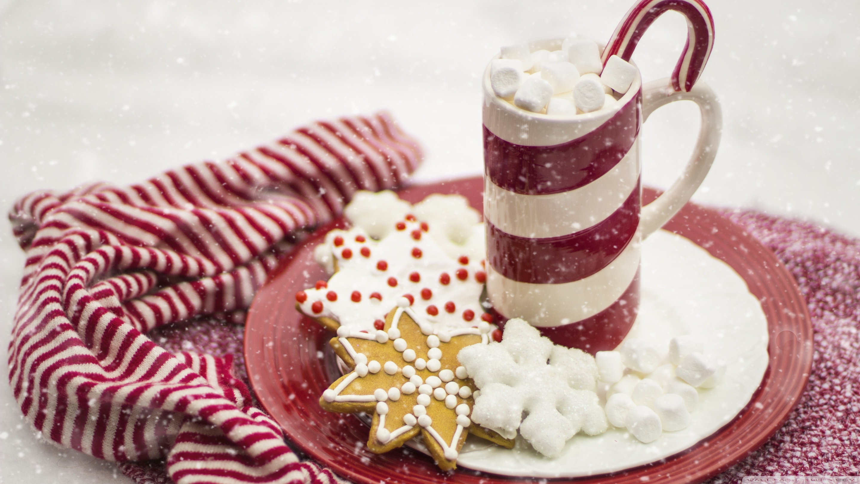 Hot Chocolate, Marshmallows, Candy Cane, Christmas Ultra HD Desktop Background Wallpaper for 4K UHD TV, Widescreen & UltraWide Desktop & Laptop, Tablet