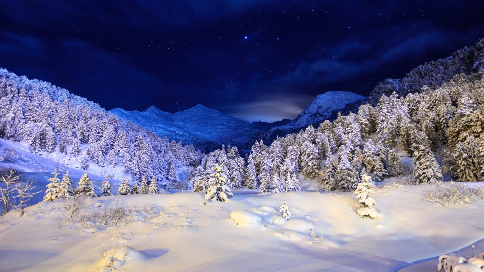 Wallpaper Seasons Winter Sky Forests Snow Night Trees Natur