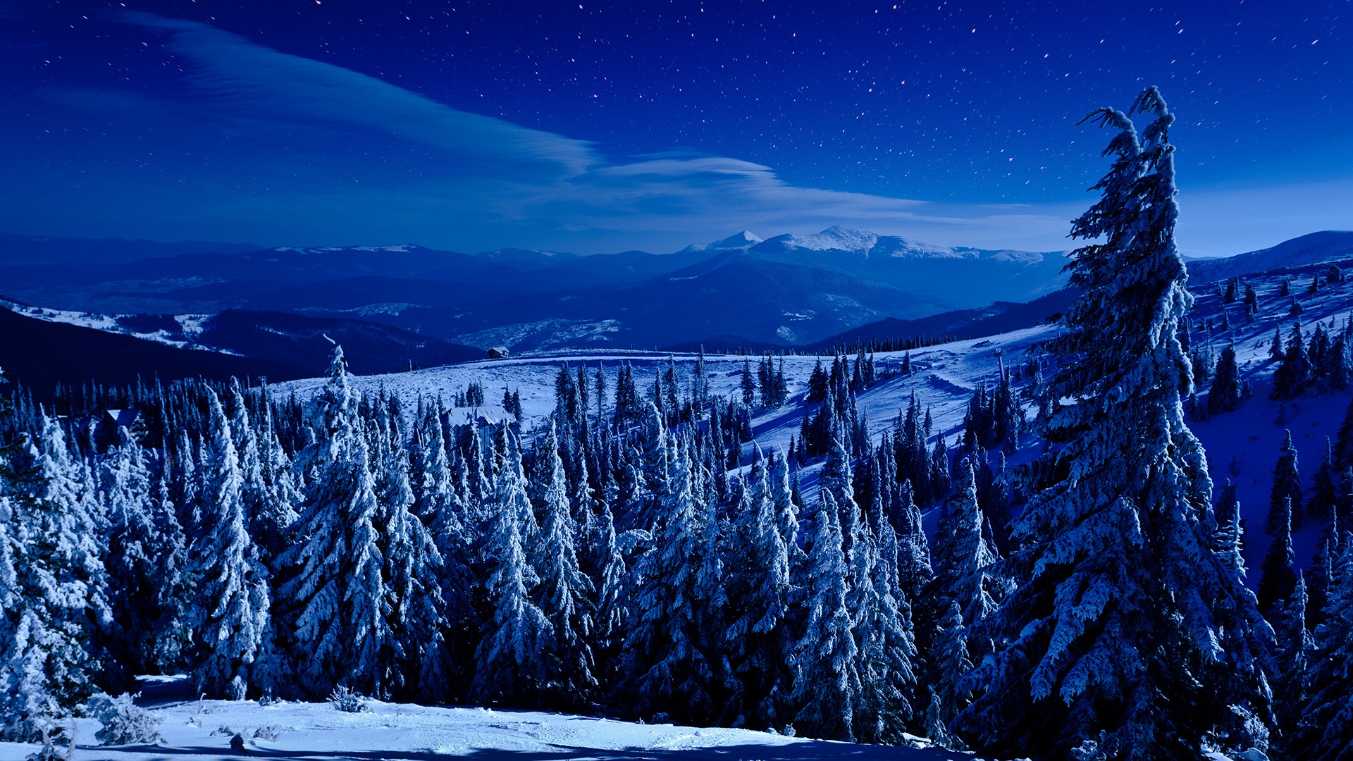 Night view of winter deep forest on hills covered with snow. Windows Spotlight Image