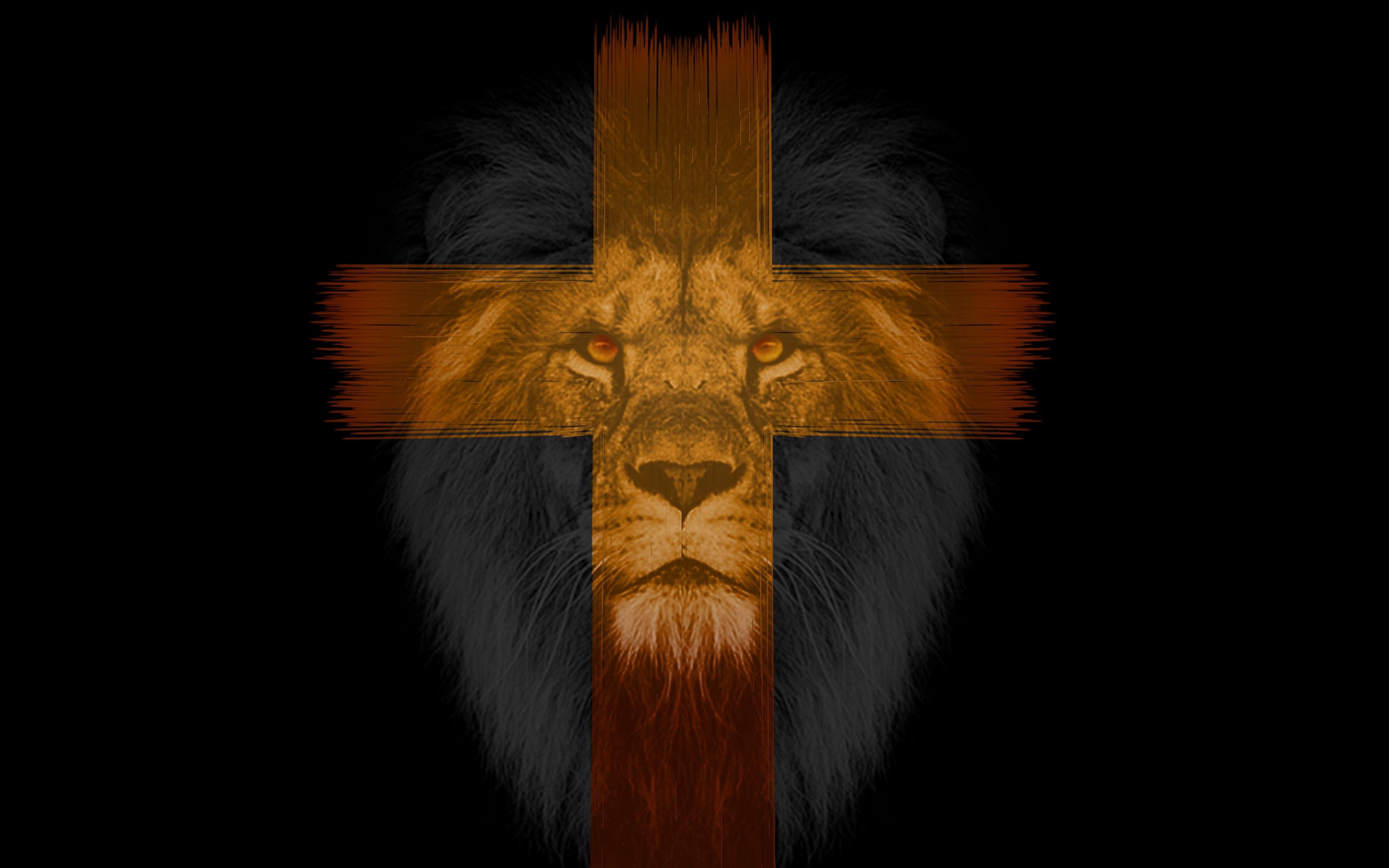 Download wallpaper 3840x2400 lion, cross, muzzle, dark 4k ultra HD 16:10 HD background
