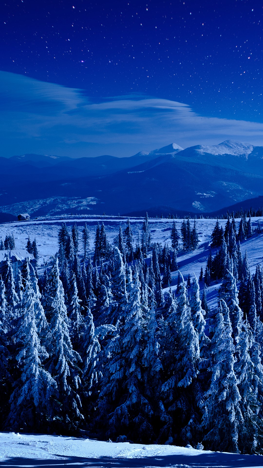 Night view of winter deep forest on hills covered with snow. Windows Spotlight Image