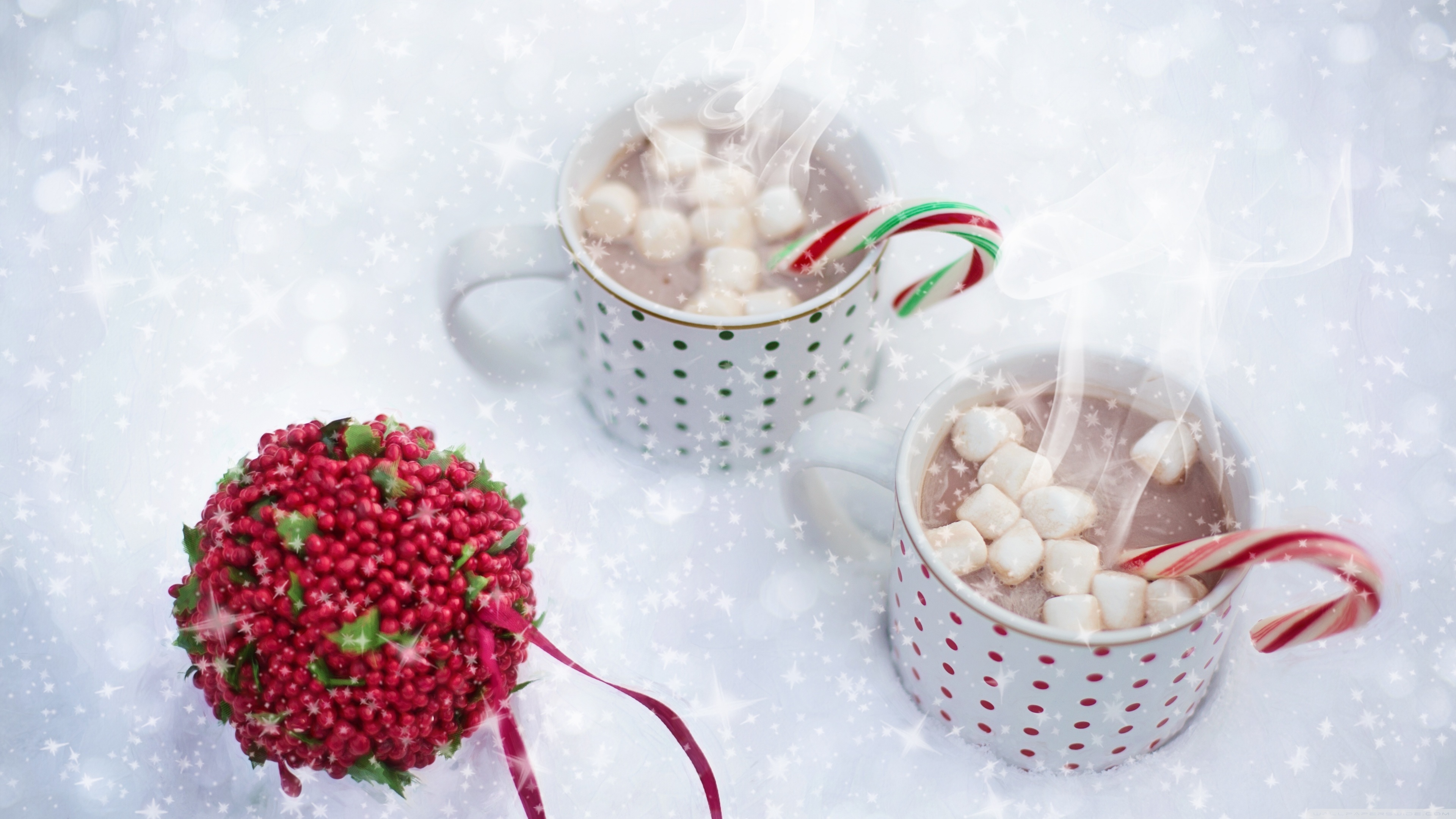 Steaming Mug of Hot Chocolate, Winter Ultra HD Desktop Background Wallpaper for 4K UHD TV, Widescreen & UltraWide Desktop & Laptop, Tablet