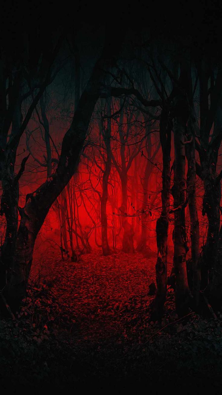 Scary Forest iPhone Wallpaper