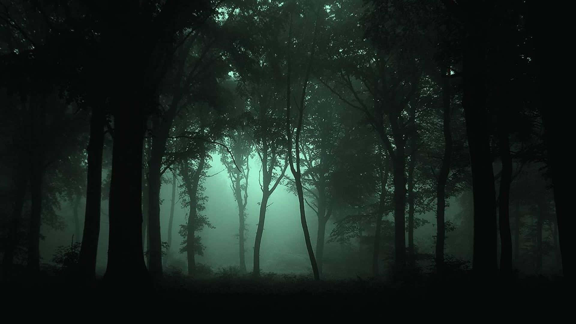 Haunted Forests Wallpaper