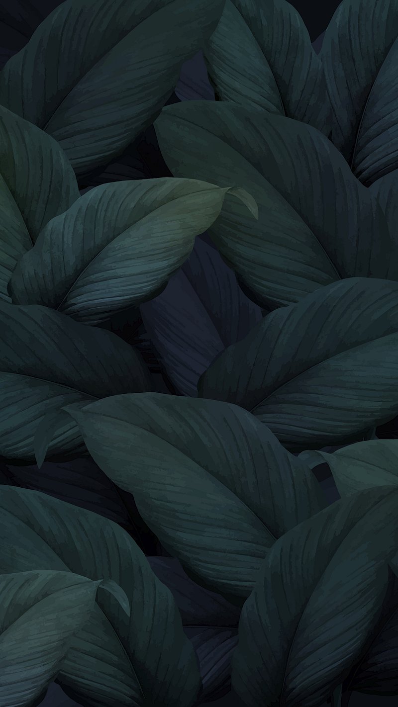 iPhone Wallpaper Dark Wallpaper