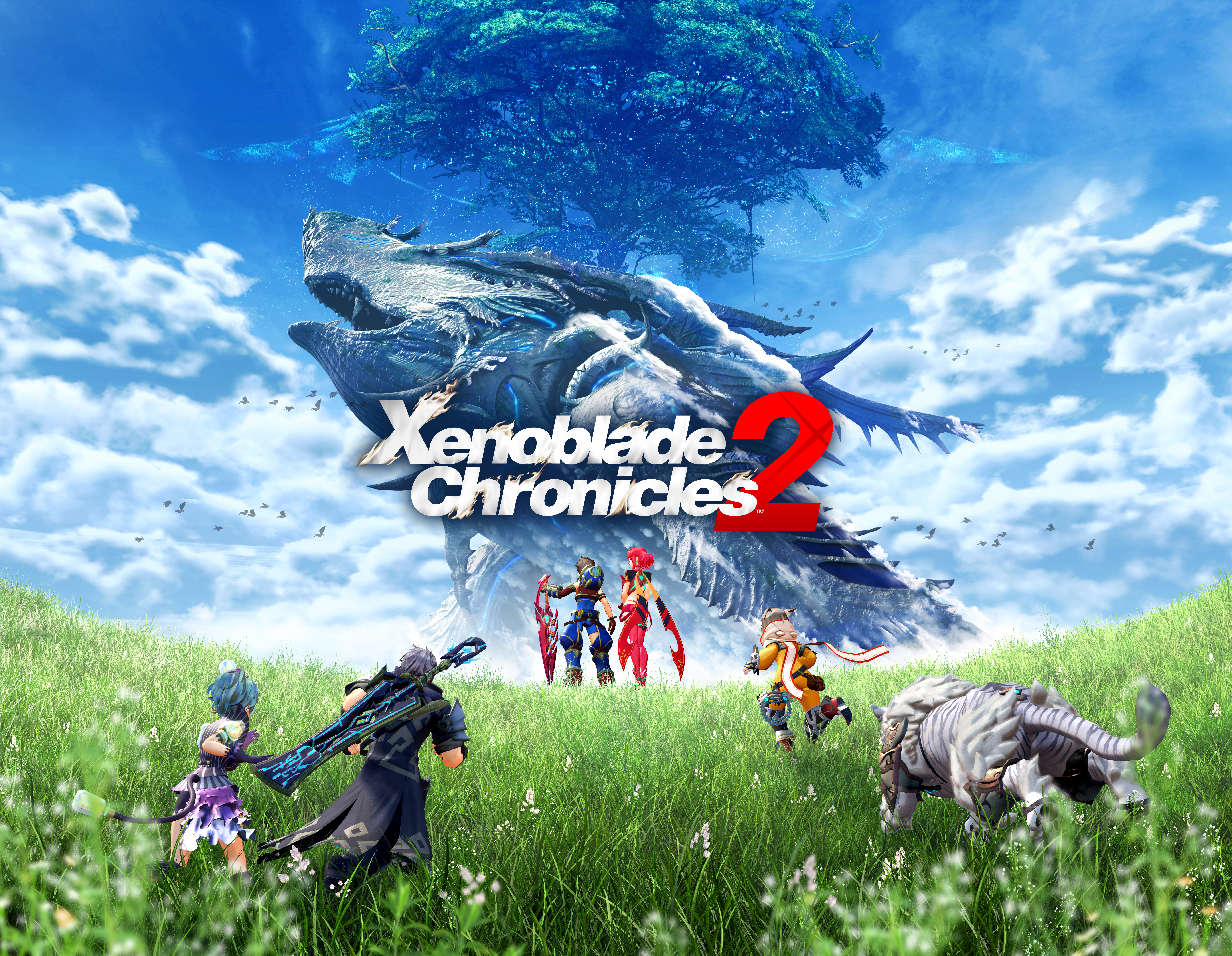 Xenoblade Chronicles 2, HD Games, 4k Wallpaper, Image, Background, Photo and Picture