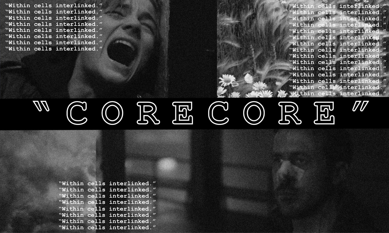 The beauty and pretentiousness of TikTok's corecore trend