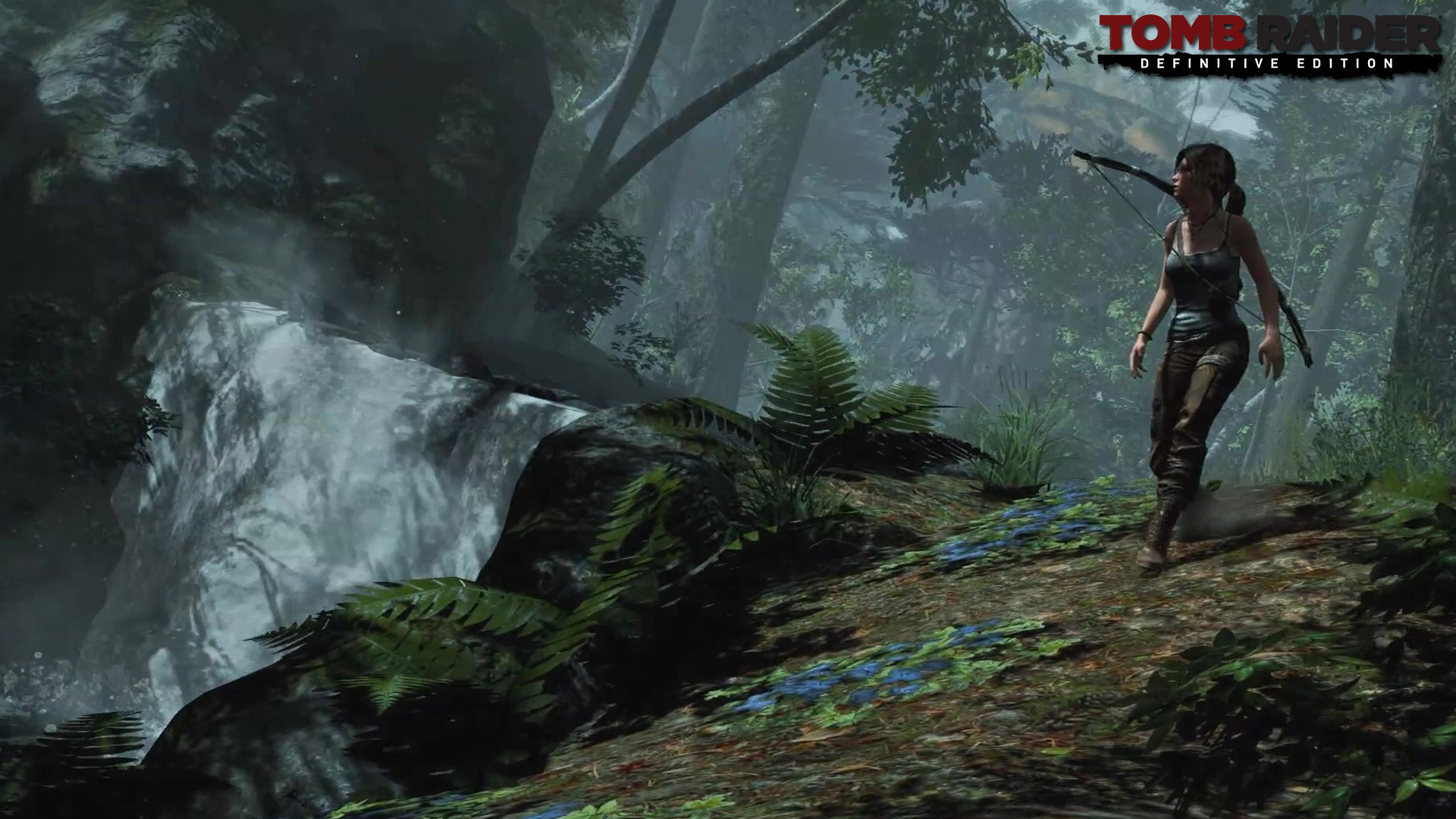 Tomb Raider: Definitive Edition