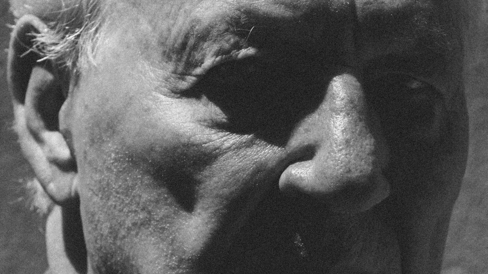 Werner Herzog's Fever Dreams