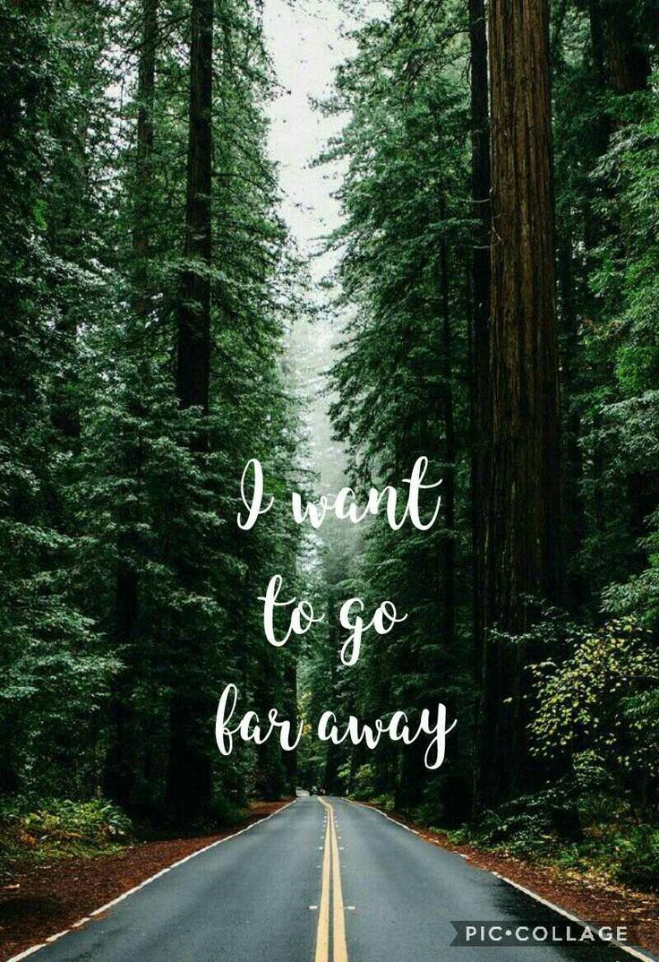 mumeag3. Linktree. Best travel quotes, Adventure quotes, Phone wallpaper quotes