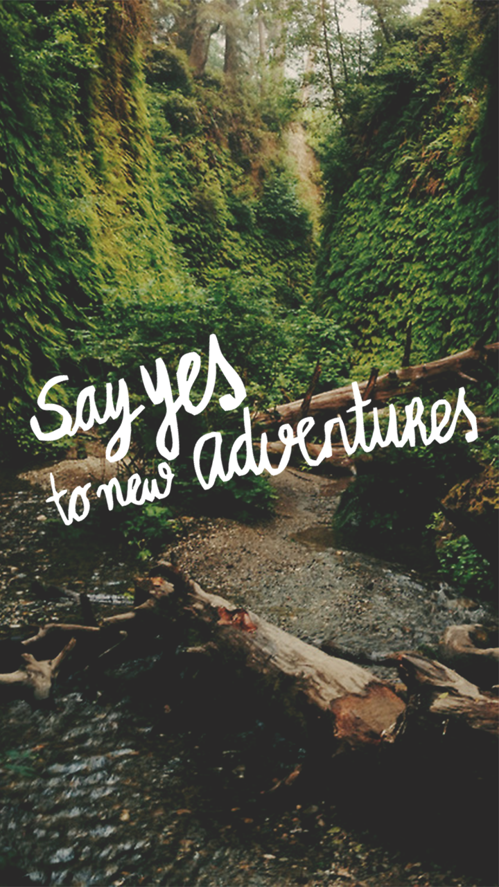 Lockscreens. Adventure quotes, Best travel quotes, Travel quotes inspirational